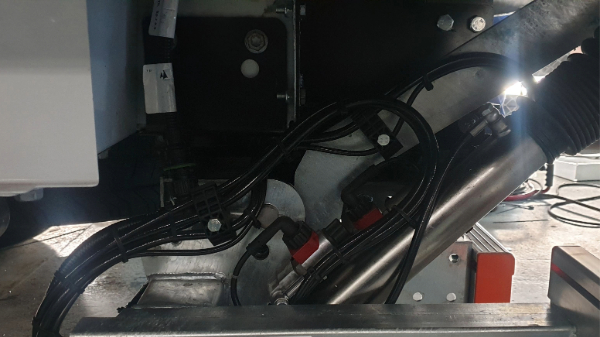 Adobe Express 2025-04-04 23.28.28