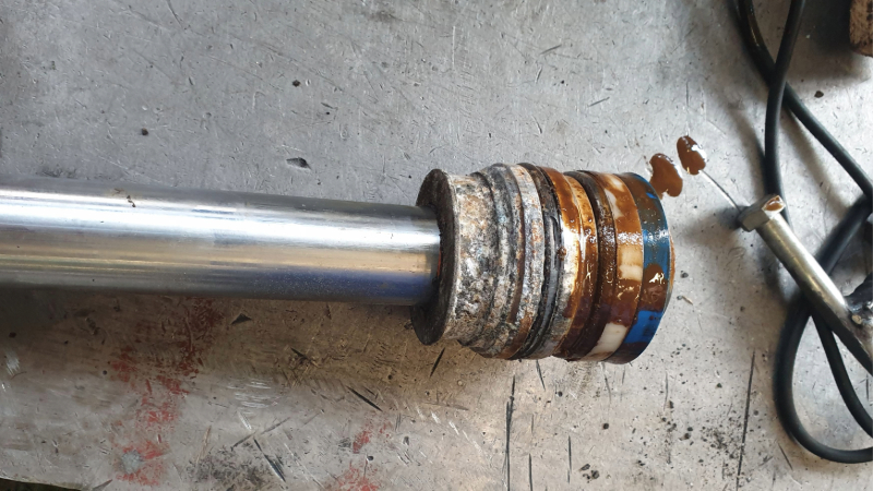 Adobe Express 2025-04-14 20.11.49